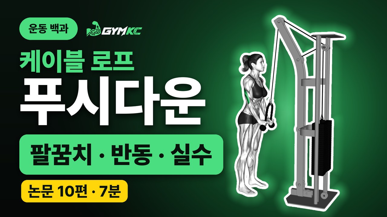 케이블 로프 푸시다운, 논문 10편으로 처음부터 끝까지 정리 영상 표지