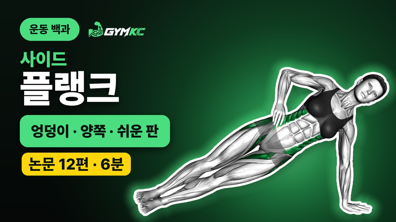 사이드 플랭크, 논문 12편으로 처음부터 끝까지 정리 영상 표지