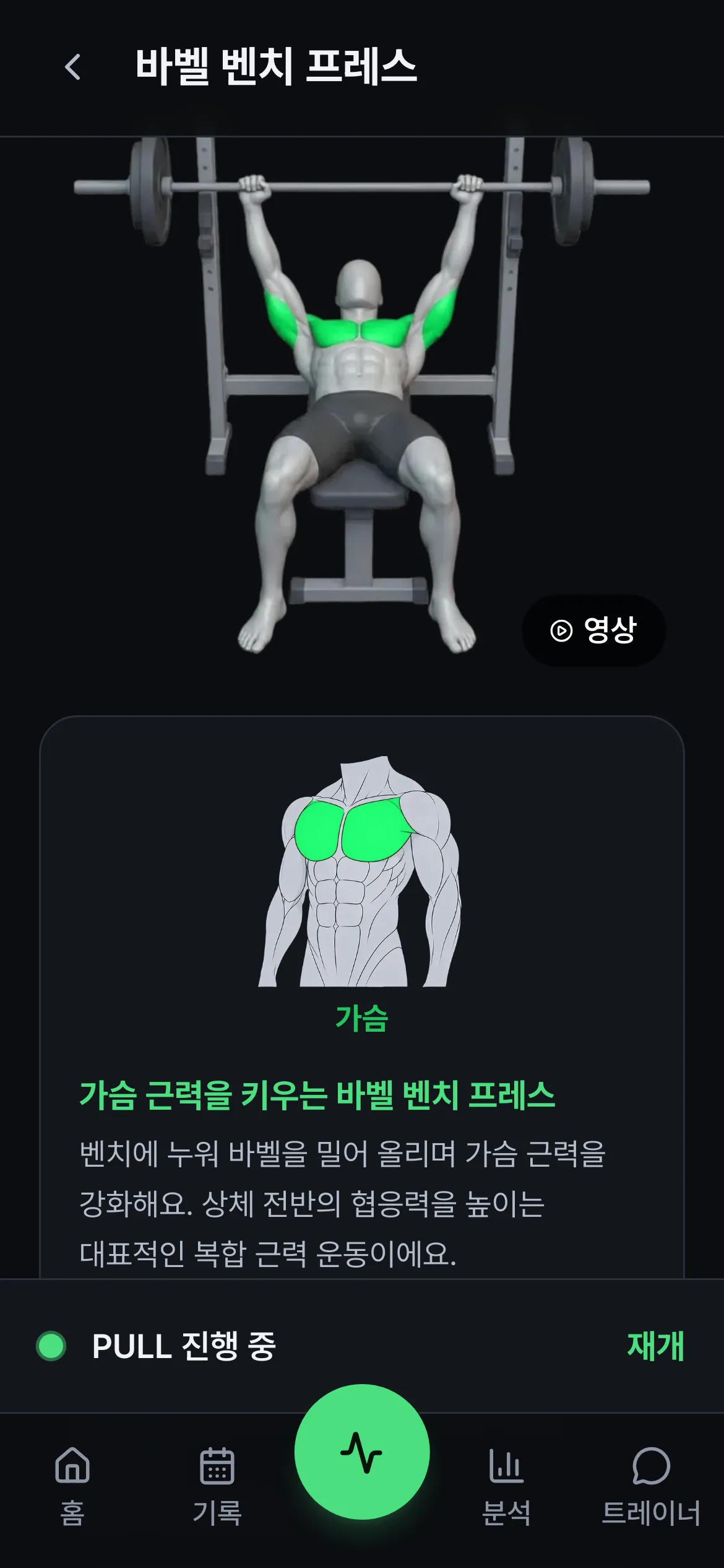 운동 상세 화면. 3D 자세 시연과 사용 근육을 초록으로 표시한 근육 도해